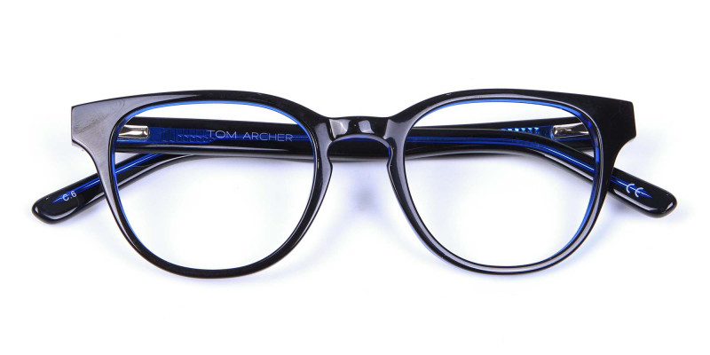 Cat Eye and Wayfarer Glasses in Blue