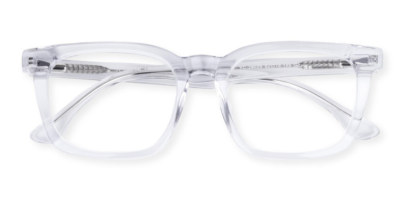 Crystal Clear Wayfarer Glasses-1
