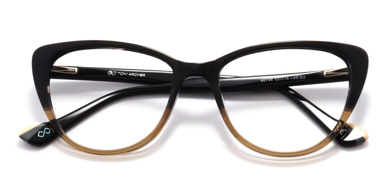 dual tone spectacles-1