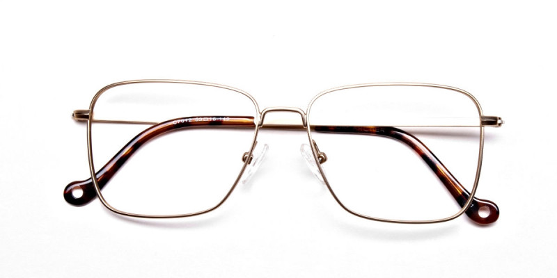  Gold Tortoiseshell Rectangular Glasses, Eyeglasses