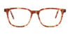 Caramel Tortoise Rectangular Glasses Unisex