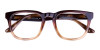 Tortoise Brown Wayfarer Glasses Frame