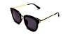 Black and Gold Simple Sunglass