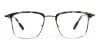 Grey Tortoise and Silver Glasses in Browline & Square  
