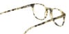 Keyhole Marzipan Tortoise Eyeglasses in Wayfarer  