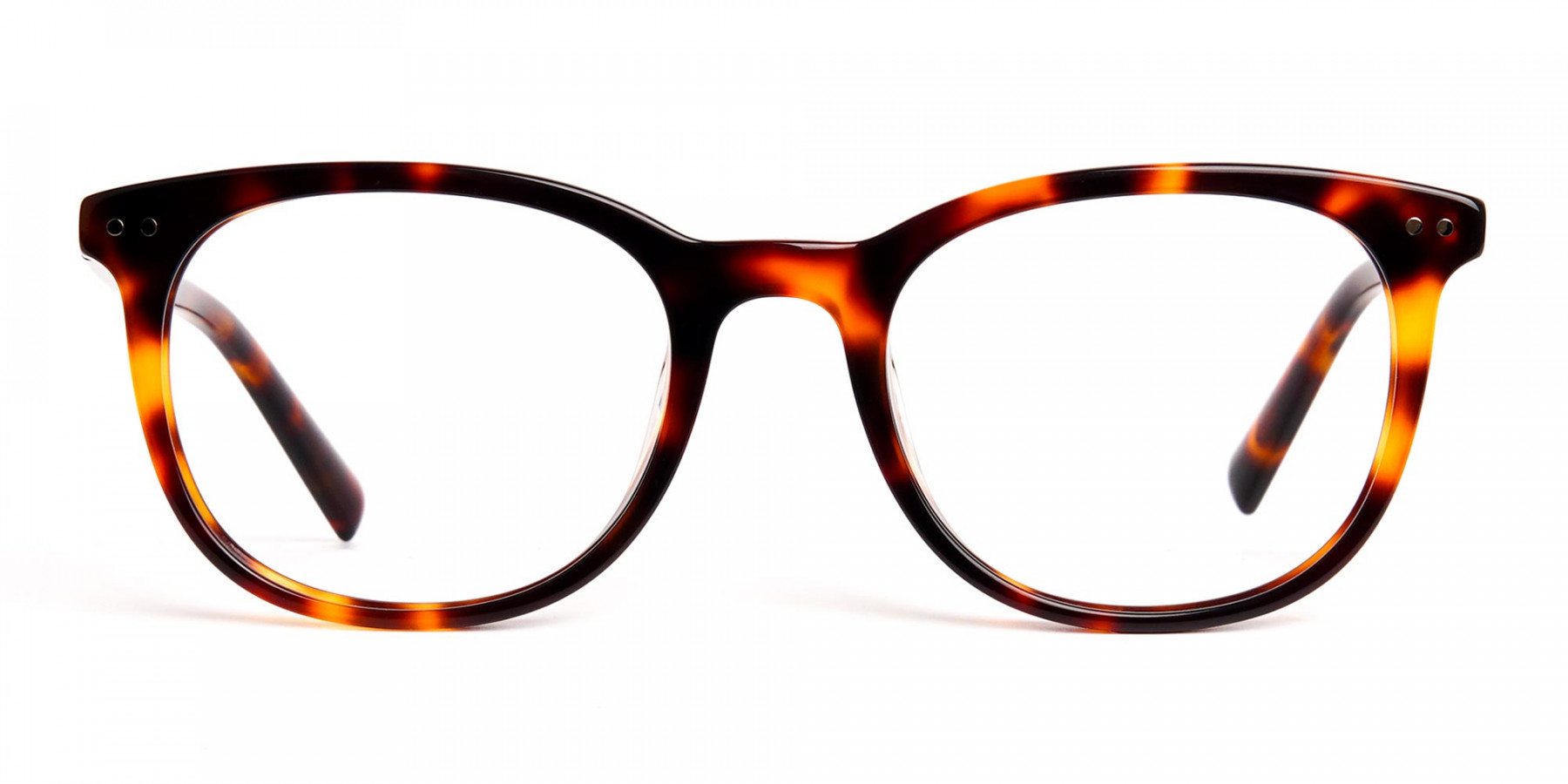tortoise-shell-wayfarer-round-full-rim-glasses-frames-1