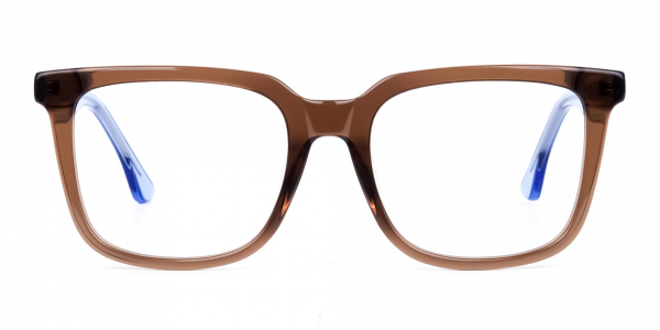 Crystal Brown Wayfarer Glasses