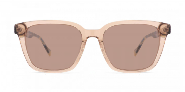 Brown Acetate Sunglasses-1
