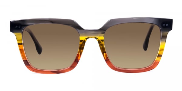 Wayfarer Brown Sunglasses with Brown Tint
