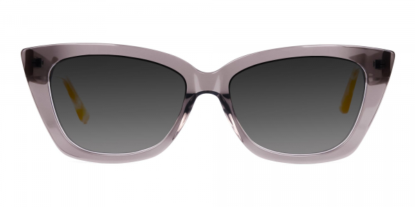 clear Wayfarer Sunglasses with Grey Tint
