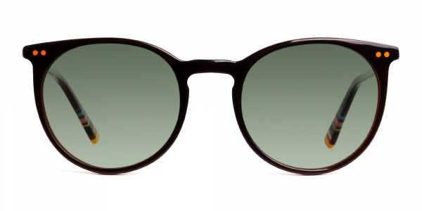dark brown round green tinted sunglasses frames