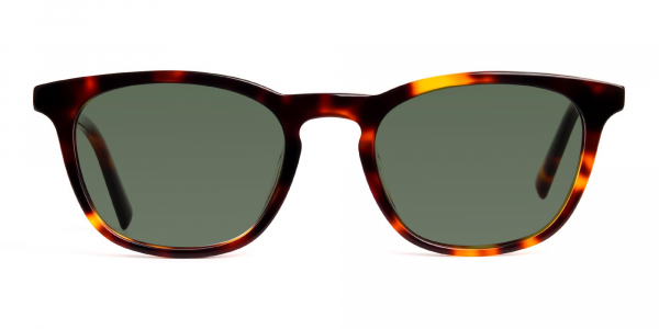 tortoiseshell wayfarer full rim dark green tinted sunglasses frames