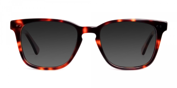 tortoiseshell wayfarer full rim dark grey tinted sunglasses frames