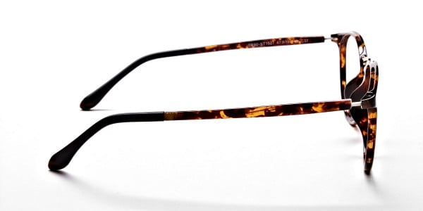 Havana & Tortoise Transparent Glasses -3