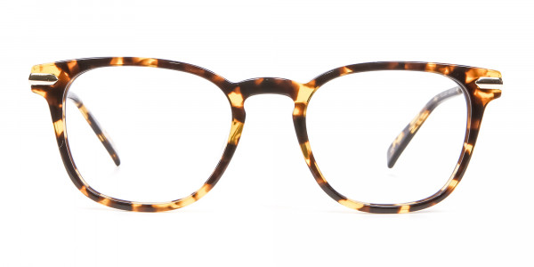 Tortoiseshell Horn-Rimmed Glasses