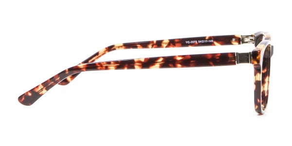 Glasses in the Tortoiseshell with New Chemistry - 3