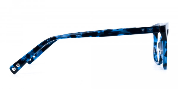 Blue-Tortoise-Wayfarer-Glasses-4