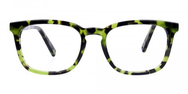 Green-Tortoise-Wayfarer-Glasses-Frame-1