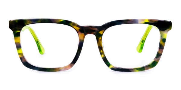 Green-Tortoise-Wayfarer-Glasses-1