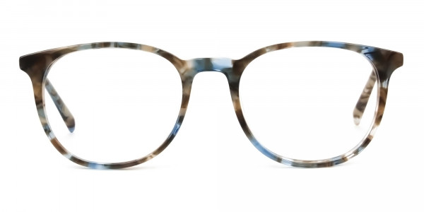Tortoiseshell Brown and Blue Frame Glasses - 1
