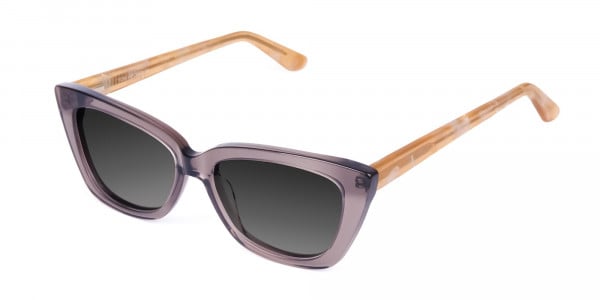 clear-Wayfarer-Sunglasses-with-Grey-Tint-3