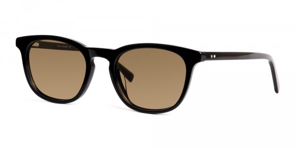 black-thick-wayfarer-dark-brown-tinted-sunglasses-frames-3