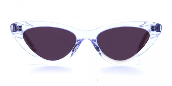 Clear Frame Cat Eye Sunglasses 