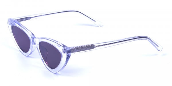 Clear Frame Cat Eye Sunglasses  - 2