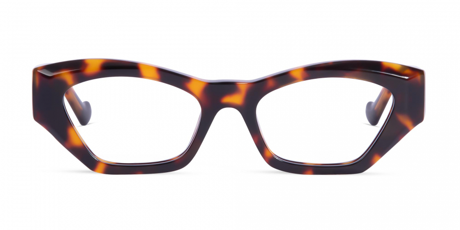 Thick Rimmed Cat Eye Glasses