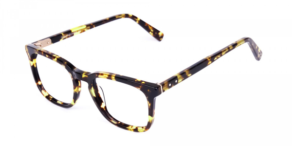 Tortoise Brown Wayfarer Glasses