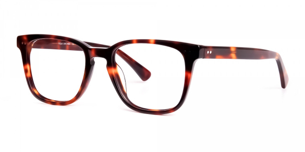havana and tortoise Shell Wayfarer glasses frames