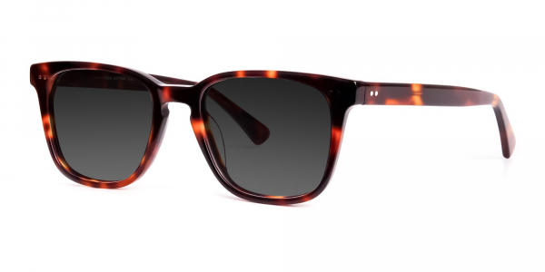 tortoiseshell wayfarer full rim dark grey tinted sunglasses frames