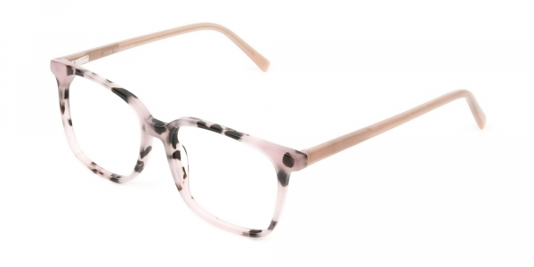Wayfarer & Square Nude Tortoise Glasses  
