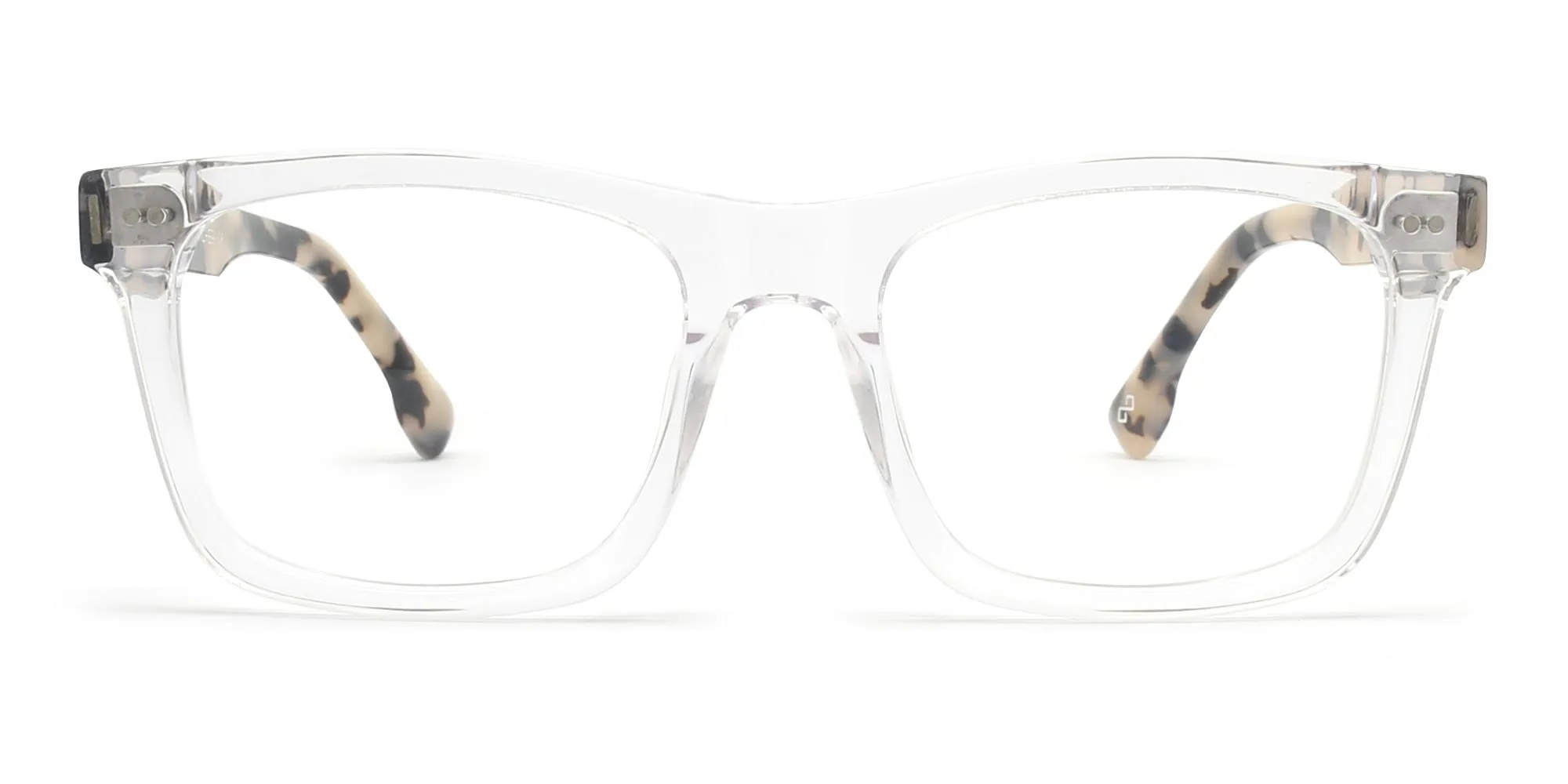 clear glasses with tortoiseshell sides-2