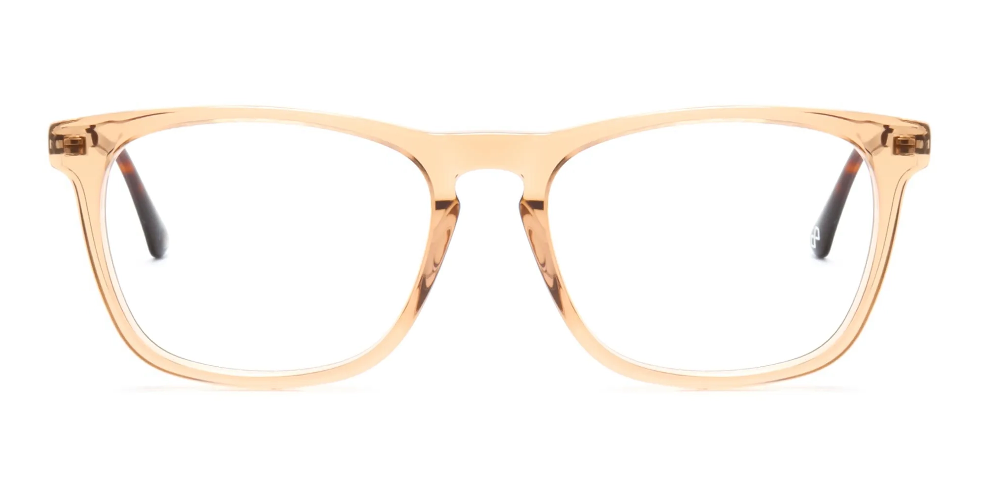 clear brown glasses frames-2