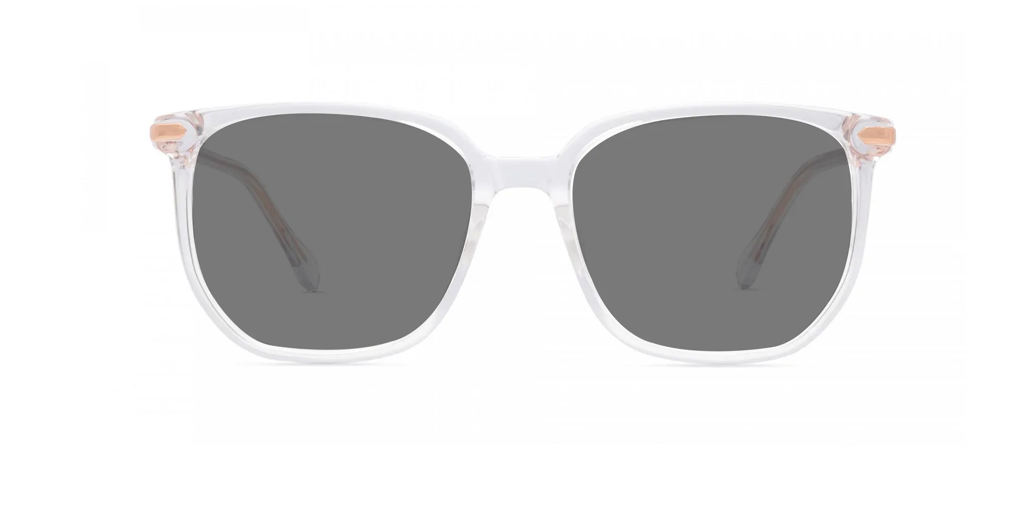 Clear Frame Polarized Sunglasses-2