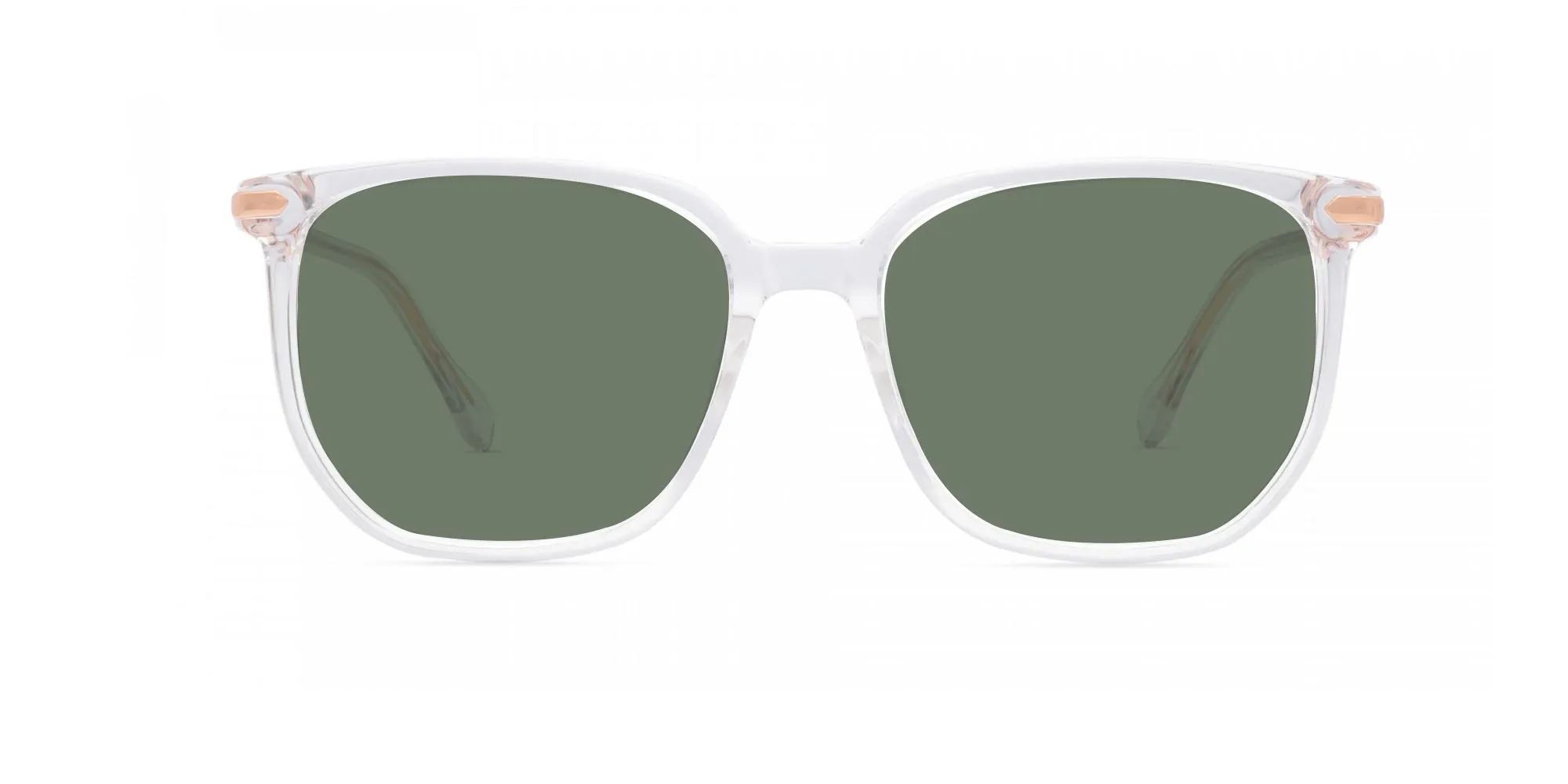 Clear Frame Designer Sunglasses-2