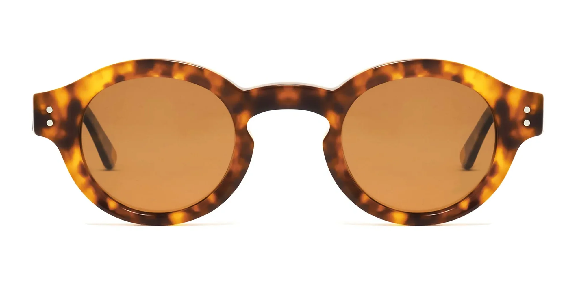 round tortoise sunglasses-2