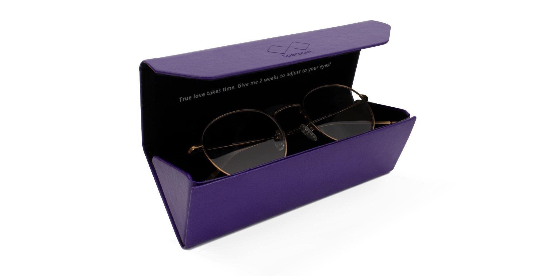 Fold up Purple Eyeglasses Case-1