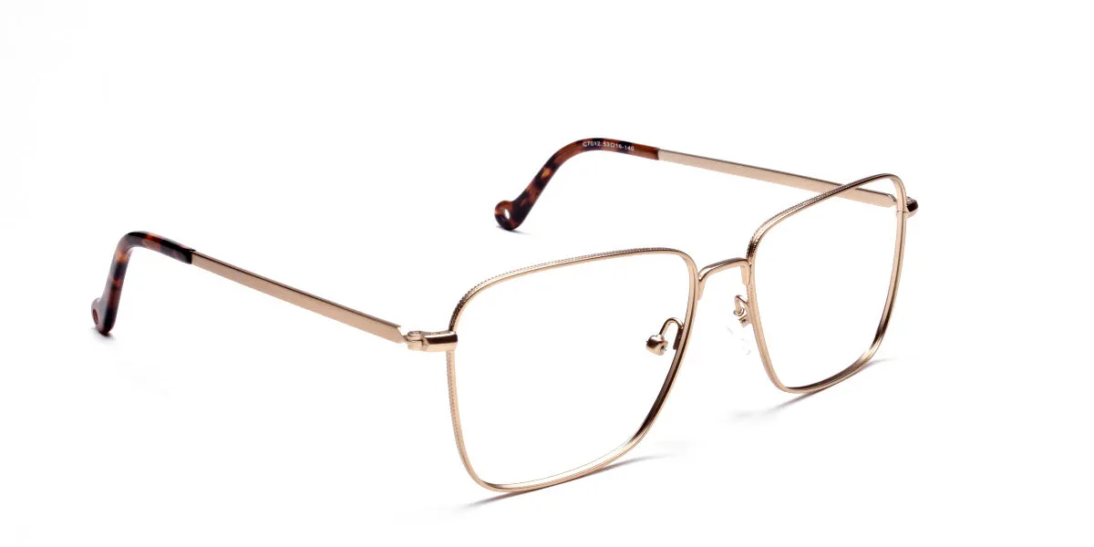 Retro Glasses Frame in Gold Metal with Tortoise Temple Tips, Eyeglasses 