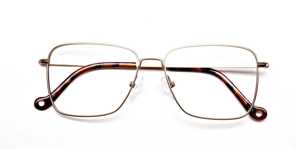 Retro Glasses Frame in Gold Metal with Tortoise Temple Tips, Eyeglasses -2