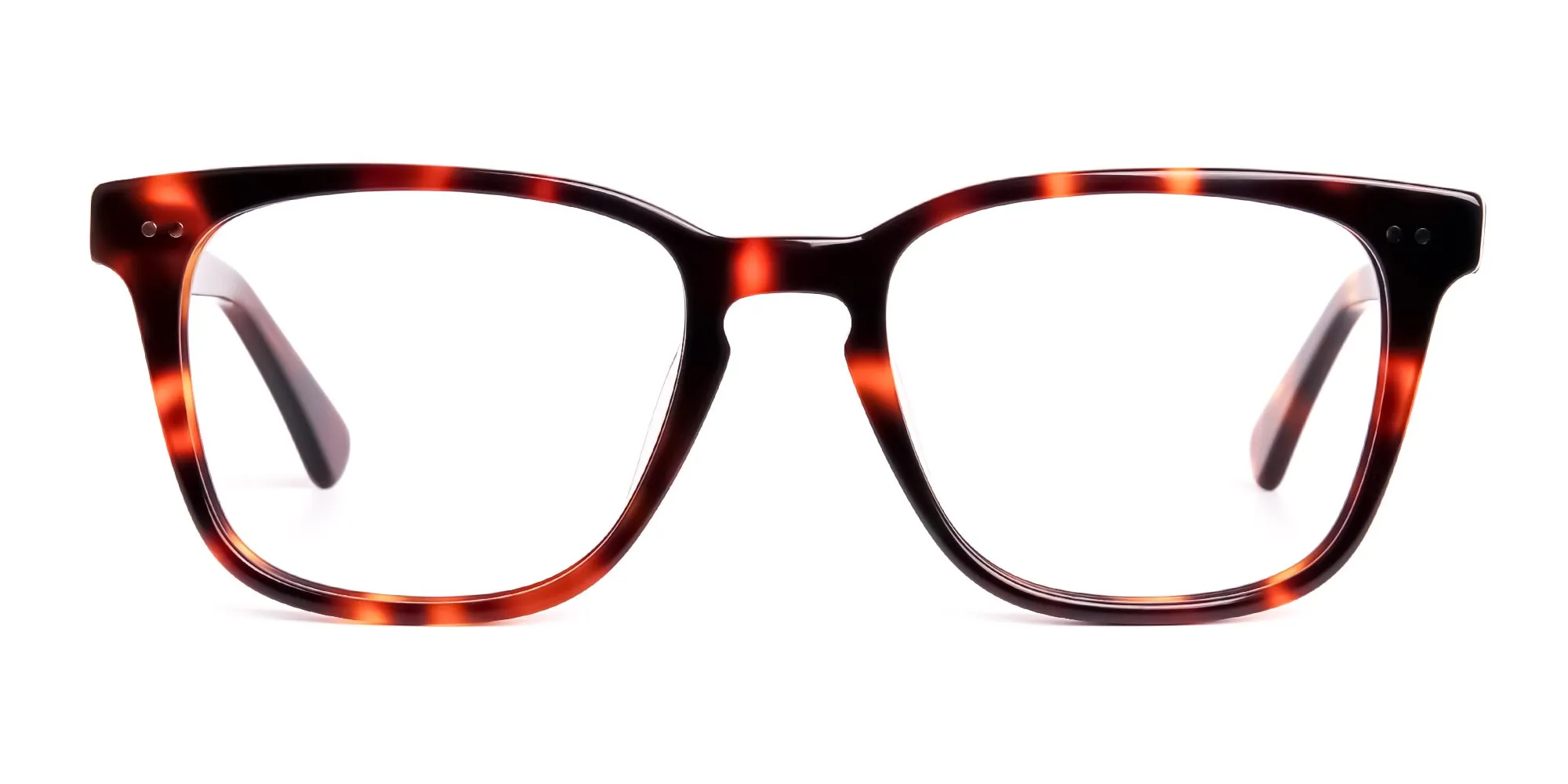 havana-and-tortoise-Shell-Wayfarer-glasses-frames-2