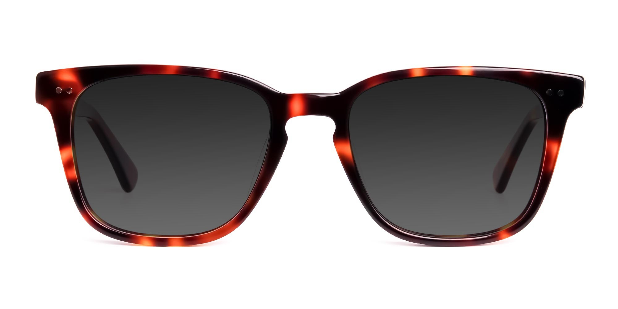 tortoiseshell-wayfarer-full-rim-dark-grey-tinted-sunglasses-frames-1