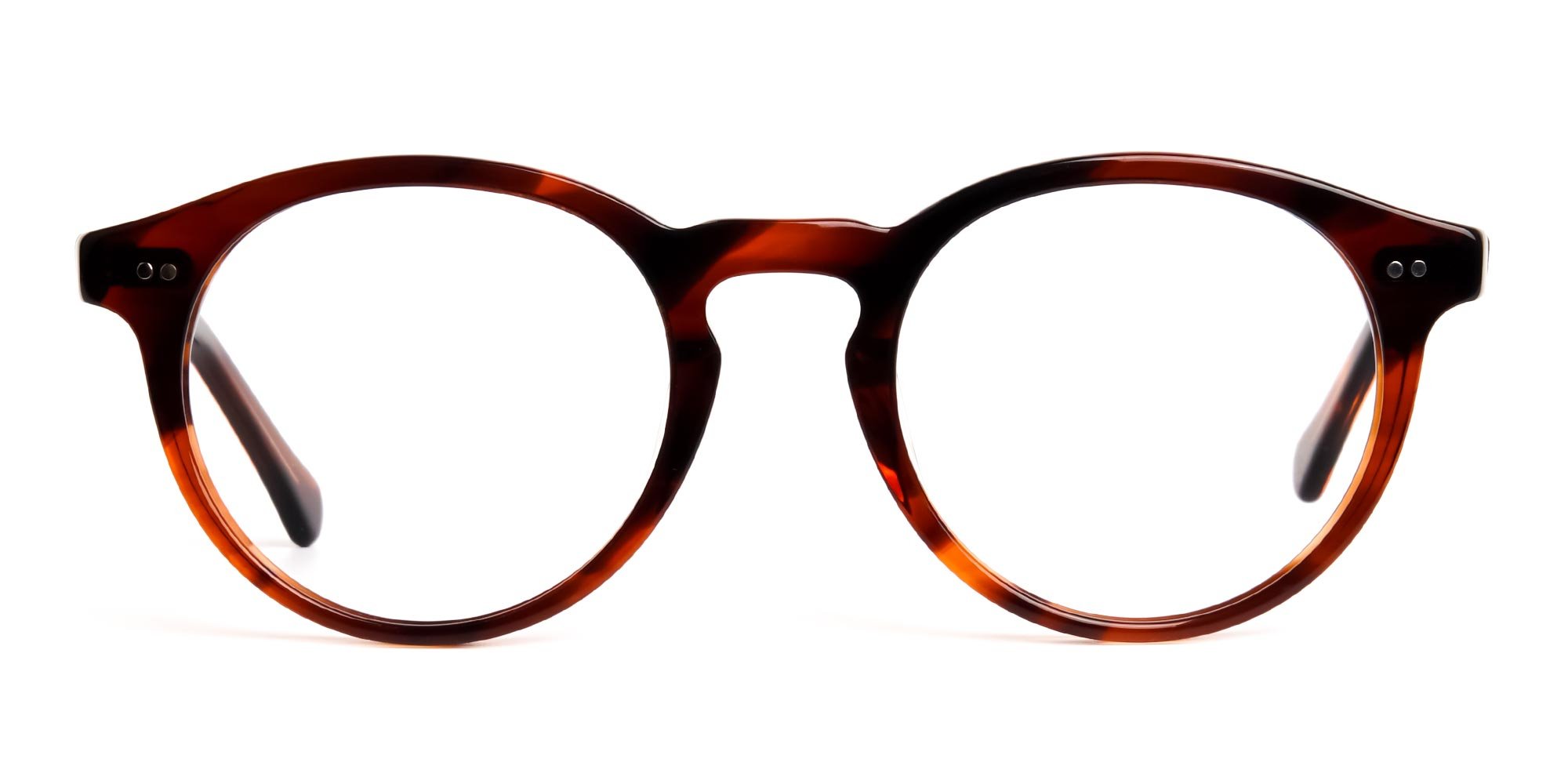 Dark Black and Brown Tortoise Shell Glasses