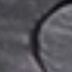 Slate Grey Pine