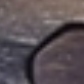 Wooden Grey Tortoise