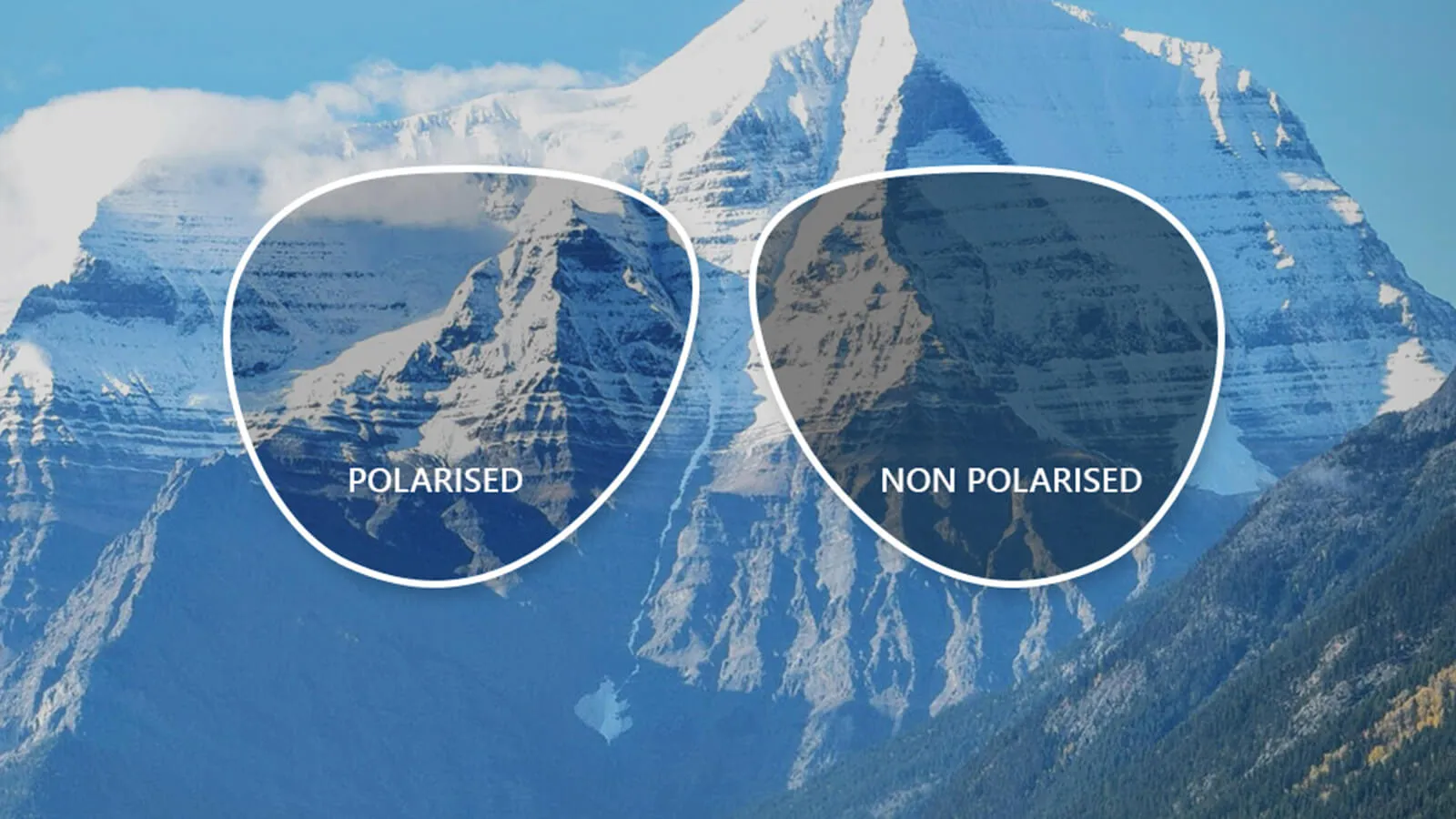 Are Polarized lenses bad for your eyes? 