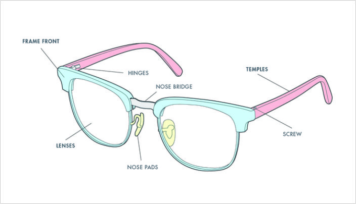 Explain Parts Of Glasses And Their Different Function