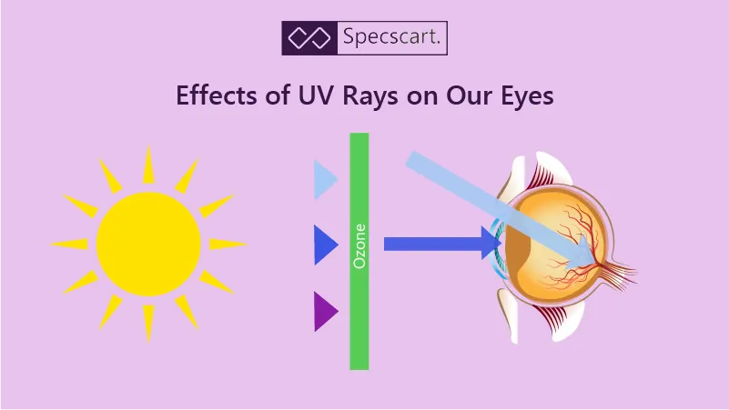 Different Types of UV Rays Along with Recommended Sunglasses for Ultimate Protection 