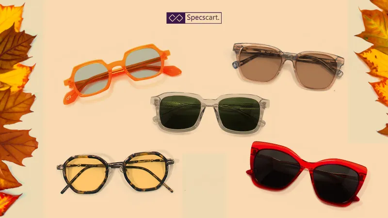 Autumn and Fashion: Listing the 5 Hottest Sunglasses 
